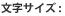 �����T�C�Y