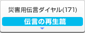 �ЊQ�p�`���_�C����(171) �`���̍Đ���