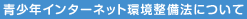 ���N�C���^�[�l�b�g�������@�ɂ���