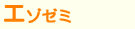 �G�]�[�~