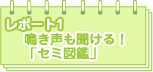 ���|�[�g�P�@������������I�u�Z�~�}�Ӂv