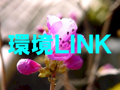 genkai.JPG (39560 �o�C�g)