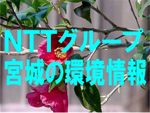 tubakixm.JPG (62904 �o�C�g)
