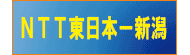NTT�����{-�V��