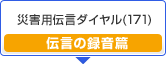 �ЊQ�p�`���_�C����(171) �`���̘^����