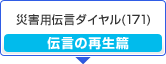 �ЊQ�p�`���_�C����(171) �`���̍Đ���