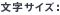 �����T�C�Y�F