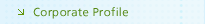 Corporate Profile