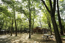 清水公園　キャンプ＆バーベキュー場