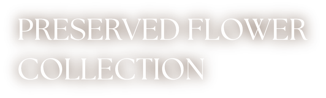 preserved flower collection