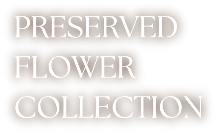 preserved flower collection