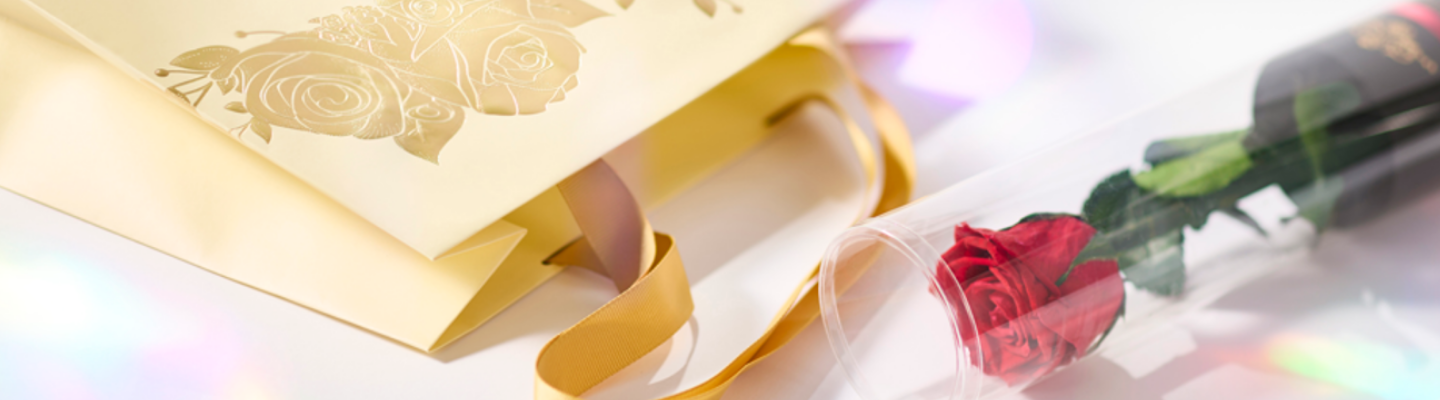 �v���U�[�u�h�t�����[�u��ւ̃o���v