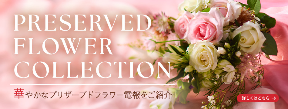 大切な方のお祝いに、心を込めたメッセージを添えて素敵なお花を贈りませんか？