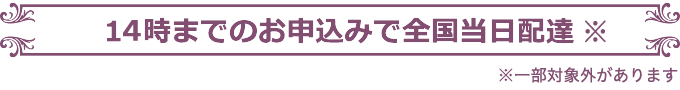 14時までのお申込み完了で全国当日配達