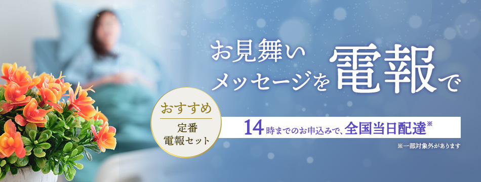 bZ[Wd
