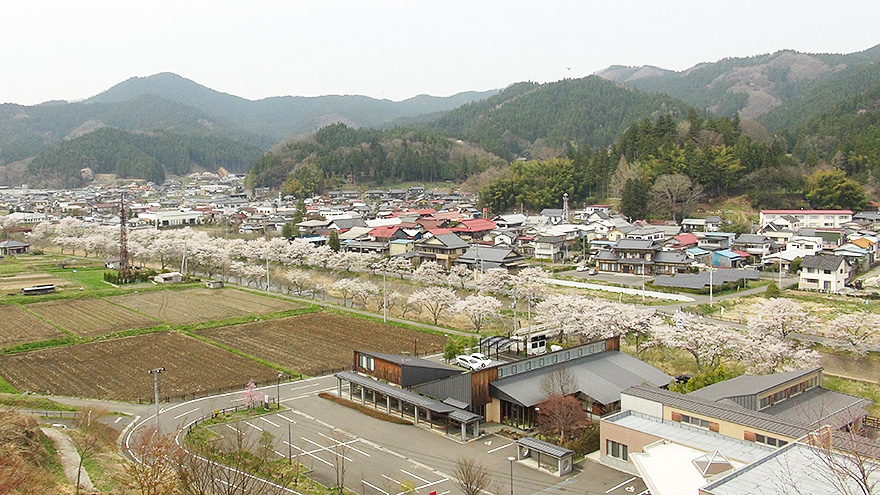 の 降る 町 サクラ