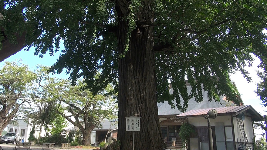 会津坂下町 金塔山 恵隆寺 立木観音堂 ふらっとおでかけ 福島ぶらり 福島 Ntt東日本