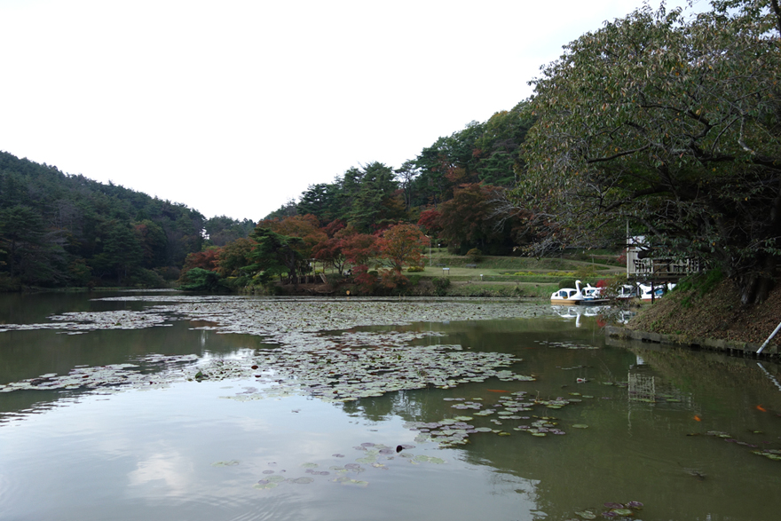 イベント 花と歴史の郷蛇の鼻紅葉 白鳥飛来地 本宮市 花と歴史の郷蛇の鼻 ふらっとおでかけ 福島ぶらり 福島 Ntt東日本