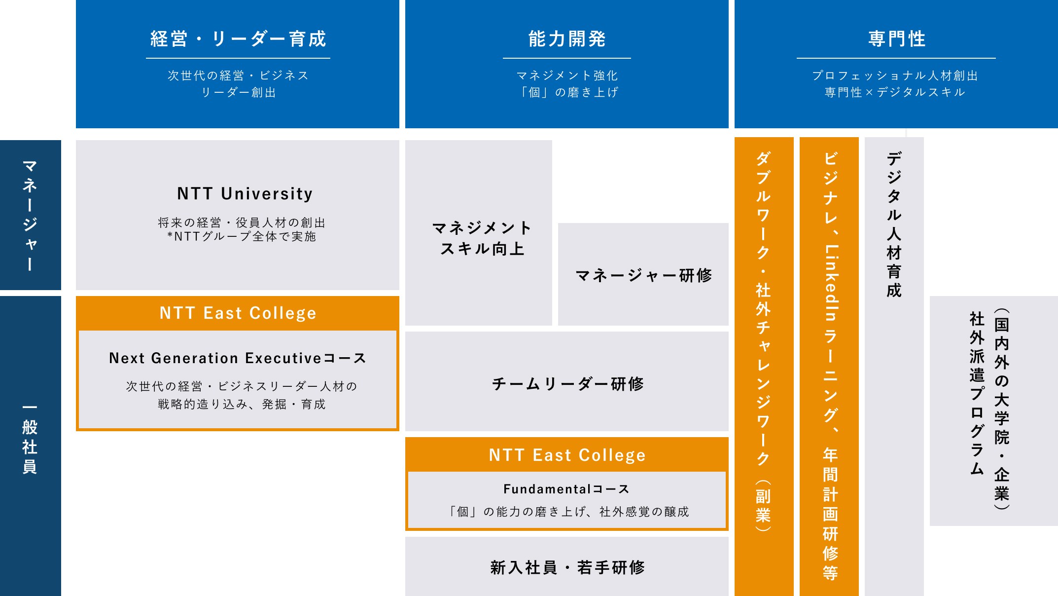 研修プログラム全体図