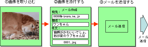 ʐ^k[MC[W