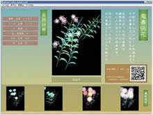 《電書咲花on goo》(2007) 伊藤 麻梨子+NTTレゾナント