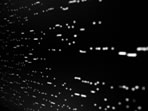 セミトラ『フラッシュを使用しない撮影は許可されています。』(2008年)