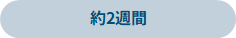 2T
