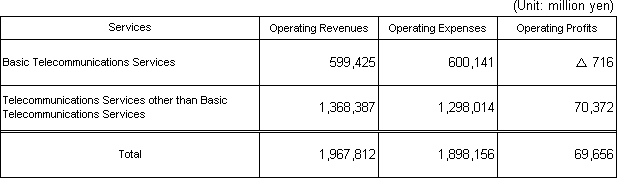 Basic Telecommunications Services Profit and Loss Statement