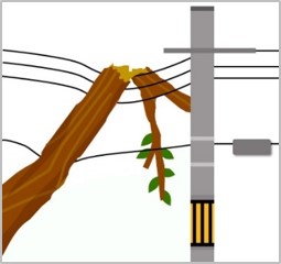 電柱や通信ケーブルの障害